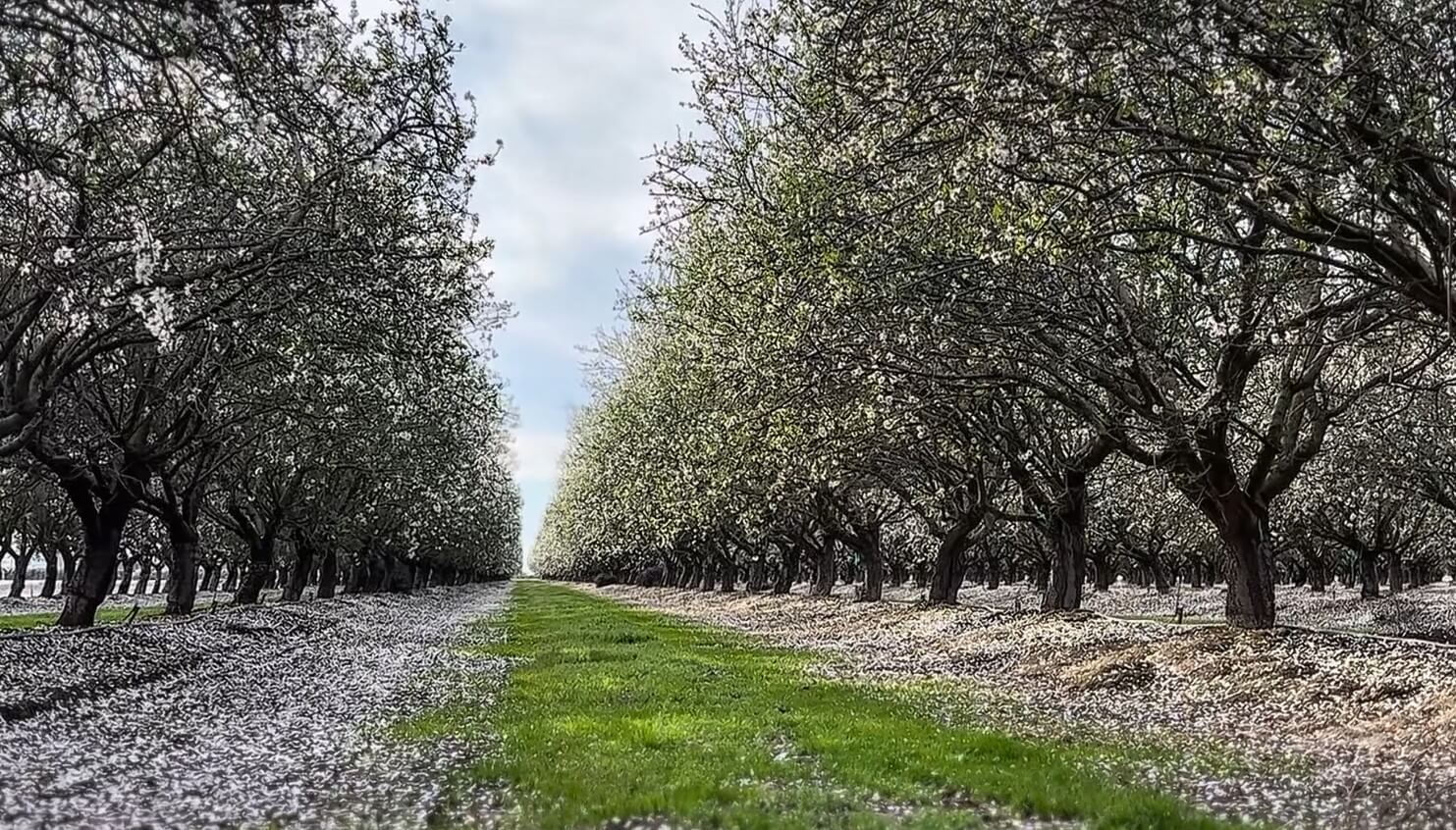 Madera County on National Documentary